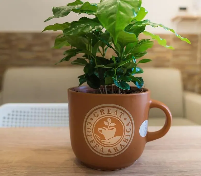 Il Tempo Di Un Caffe Apartment Naples